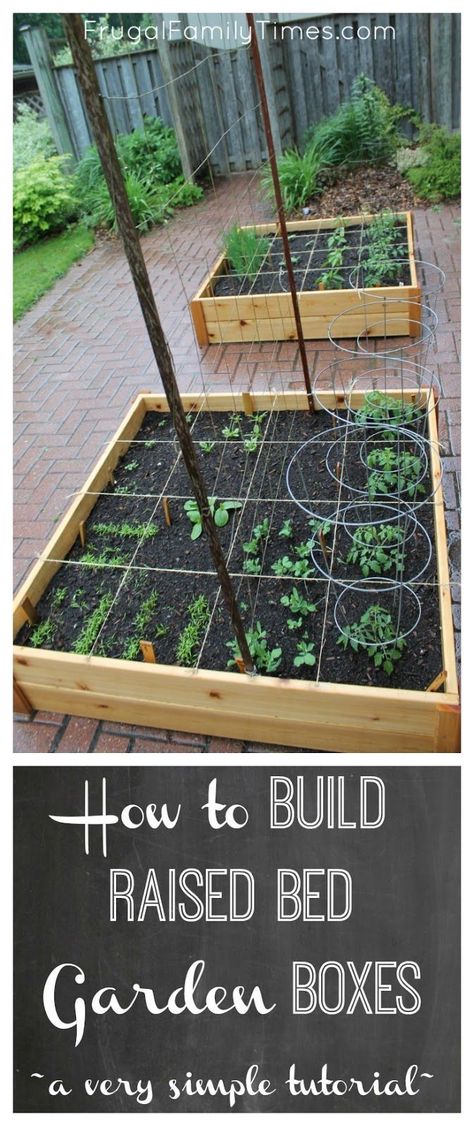 How to build simple raised garden beds.  A cheap and easy DIY. Ideas, tutorial and plans in this post. Ours is on top of a brick driveway, where we grown vegetables in an otherwise wasted space, but this would work on any surface. #howto #diy #tutorial #weeds #outdoor #savingmone Raised Bed Gardens, Brick Driveway, Garden Boxes Diy, Easy Diy Ideas, Raised Bed Garden, Garden Boxes Raised, Building Raised Garden Beds, Vegetable Garden Raised Beds, Building A Raised Garden