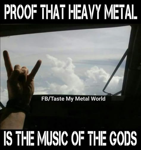 Heavy metal. Meme. Horns up. \m/ Heavy Metal Funny, Metal Meme, Alissa White, Pop Punk Bands, Band Nerd, Extreme Metal, Band Memes, Blues Music