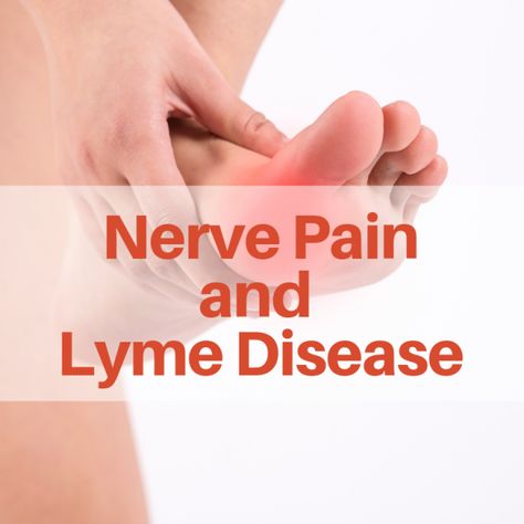 LYME SCI: Nerve damage shown in patients with chronic Lyme symptoms Lyme Symptoms, Lyme's Disease, Chronic Lyme, Sensory Nerves, Peripheral Nervous System, Bladder Control, Disease Symptoms, Nerve Damage, Harvard Medical School