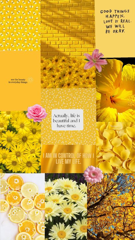 Love and light 💛 #yellow #yellowaesthetic #aesthetic #affirmations #positivity #positiveaffirmations Yellow Quotes Aesthetic Positive, Yellow Affirmations, Aesthetic Affirmations, Yellow Quotes, Aesthetic Yellow, Yellow Aesthetic, Manifestation Quotes, Quote Aesthetic, Love And Light