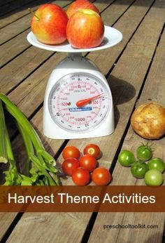 Fall harvest theme for early learners - Preschool Toolkit Harvest Theme Preschool, Preschool Harvest Activities, Preschool Harvest Theme, Preschool Harvest, Early Education Activities, Fall Homeschool, Harvest Activities, Farm Lessons, Harvest Crafts