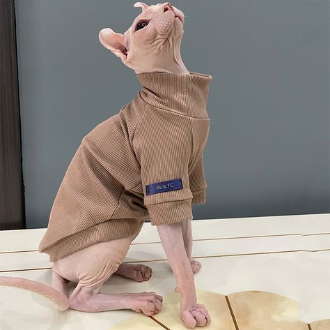 Cat Outfits Pets, Cat Sweater Pattern, Cat Outfit, Hairless Cats, Sphynx Cat Clothes, Pet Ferret, Cat Summer, Pet Backpack, Small Dog Clothes