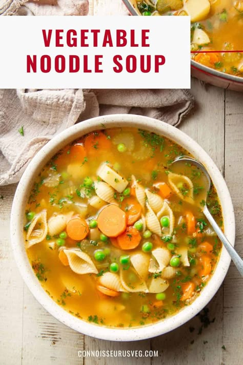 Vegan Vegetable Noodle Soup, Veggie Soup With Pasta, Vegetarian Noodle Soup Recipes, Healthy Veg Soup, Vegetable And Pasta Soup, Pasta Soup Vegetarian, Vegetable Noodle Soup Recipes, Healthy Noodle Soup, Vegetable Soup With Noodles