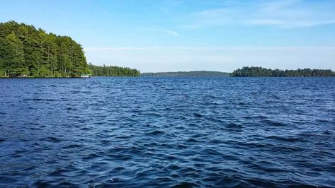 Lake Tomahawk - Oneida County, WI Tomahawk Wisconsin, Minocqua Wisconsin, 3d Maps, Cities To Visit, Endless Opportunities, Water Skiing, Nature Trail, Winter Park, This City