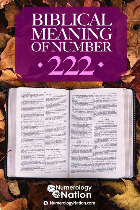 What Does the Number 222 Mean in the Bible? #numerology #numerologynumbers #bible #biblestudy #biblical #biblicaltruth Numerology 222 Meaning, Biblical Numbers Meaning, What Does 222 Mean Angel Numbers, Seeing 222 Meaning, What Does 222 Mean, Number 222 Meaning, Biblical Numerology, Numerology 222, Bible Numerology