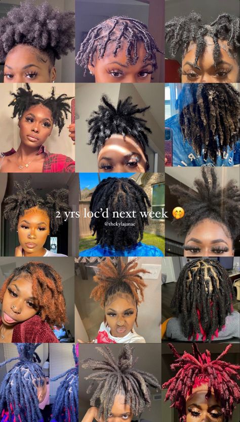 Short Loc Inspiration, Loc Hairstyles Short Locs, Type Of Locs For Black Women, Loc Inspo Black Women Color, Protective Styles Over Starter Locs, Hair Styles For Starter Locs, Cute Styles For Locs, Coil Starter Locs Styles, 50 Locs Count