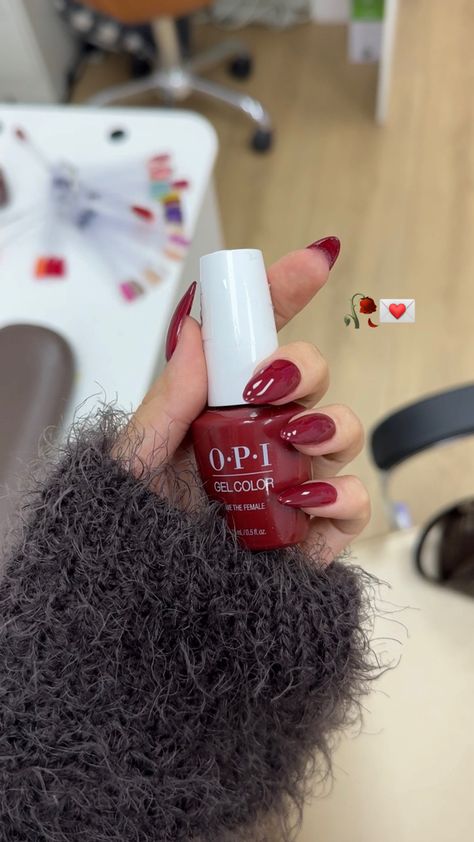 OPI gel we the female, red burgundy, perfect fall nails Burgundy Nails Opi Gel, Burgundy Nails Opi, Opi Big Apple Red Gel, Nails Opi Gel, Fall Nail Inspo, Nails Opi, Red Fall, Burgundy Nails, Fall Nail