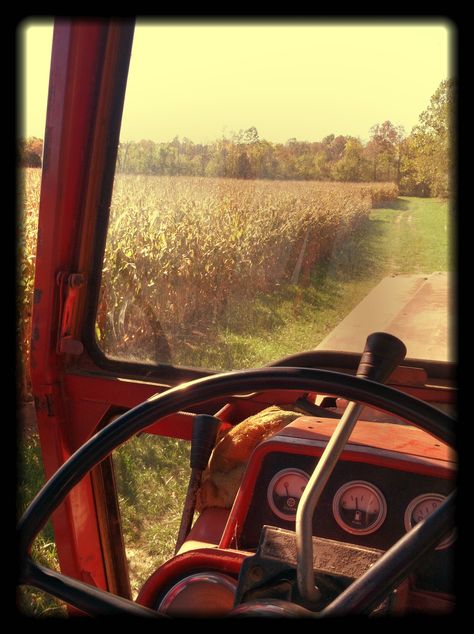 . I Hope One Day, Corn Field, Everything Country, Life On The Farm, Farm Living, Country Scenes, Farms Living, Back Road, A Farmer