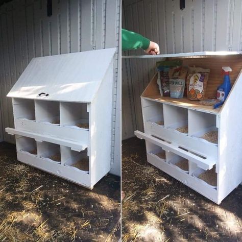 Easy Nesting Box Ideas, Cute Chicken Nesting Boxes, Cube Storage Nesting Boxes, Chicken Building Ideas, Cheap Chicken Nesting Boxes, Nesting Boxes For Ducks, Pallet Chicken Nesting Boxes, Chicken Boxes Nesting Diy Projects, Cube Shelf Chicken Nesting Boxes