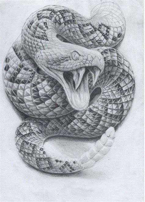 Rattlesnake Tattoo, Snake Sketch, Tattoo Realism, Cobra Tattoo, Serpent Tattoo, Snake Drawing, Snake Tattoo Design, Snake Art, Desenho Tattoo