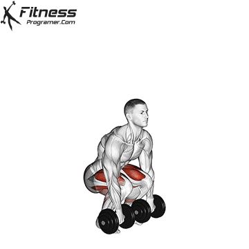 The dumbbell deadlift is a compound strength exercise that primarily targets the muscles in your lower back, glutes, hamstrings, and quadriceps Bodybuilding Leg Workout, Deadlift Muscles Worked, Deadlift Benefits, Dumbbell Deadlift, Great Leg Workouts, Leg Routine, Barbell Deadlift, Best Leg Workout, Dumbbell Squat