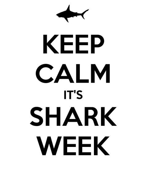 Shark Week - Yahoo Image Search Results Exam Finish Quotes, Finish Quotes, Finally Happy Quotes, Exams Finished, Finally Happy, State Board, Business Motivational Quotes, Board Exam, Best Sleeve Tattoos