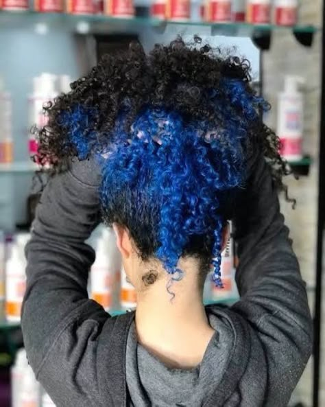 Dyed Curly Hair Ideas Colour Blue, Braids With Color Underneath, Under Dyed Hair Curly, Blue Skunk Stripe Hair, Dyed Underlayer Curly Hair, Peekaboo Hair Color Curly, Blue Skunk Stripe, Curly Dyed Hair Natural Curls, Blue Curly Hair