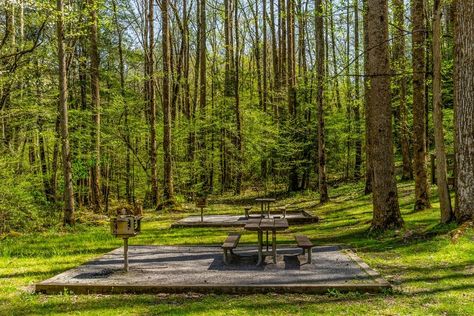 Fern Valley, Farmhouse Yard, Gatlinburg Vacation, Camping Site, Smoky Mountains Vacation, Landscape Forest, River Trip, School Interior, Mountain Getaway