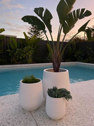 Pots For Pool Area, Fake Plants Outdoor, Plants For Pool Area Potted, Pots In Pool Area, Pots Around Pool, Small Pool Area, Pool Area Plants In Pots, Pot Plants Pool Area, Poolside Plants