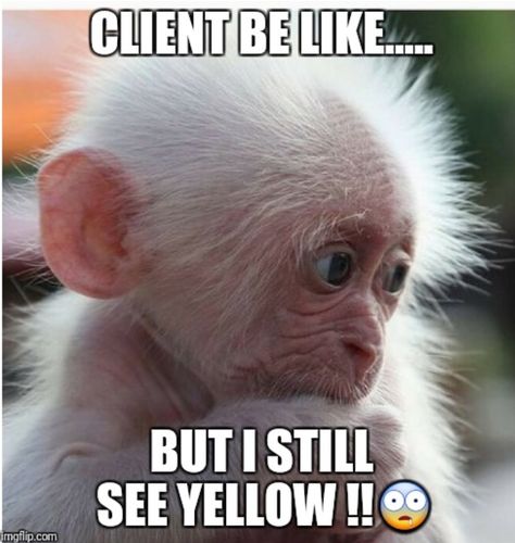 When bleaching gets real Hair Salon Memes Humor, Hairstylist Memes, Hairdresser Humor, Stylist Humor, Hairstylist Problems, Hairstylist Humor, Stylist Quotes, Hairdresser Quotes, Funny Hair