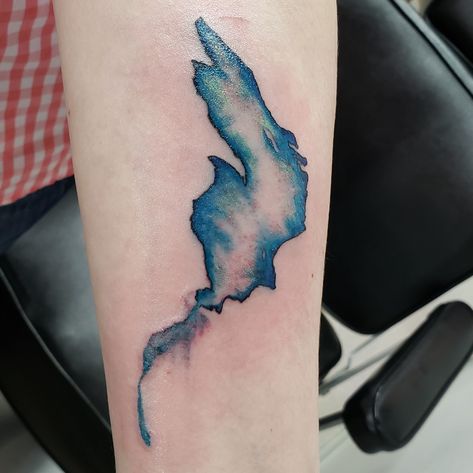 My new Lake Superior tattoo by Gabe at Acme Tattoo in St. Paul, MN Lake Superior Tattoo Ideas, Lake Superior Tattoo, Acme Tattoo, Flat Tattoo, Superior Tattoo, Lake Tattoo, Flathead Lake, Shape Tattoo, Duluth Mn