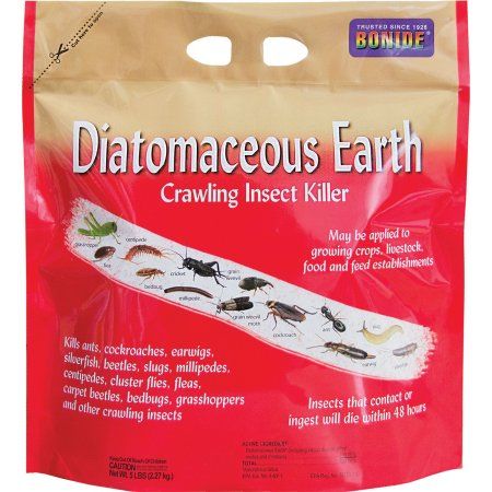 DIATOMACEOUS EARTH CRAWLING INSECT KILLER Earwigs, Kill Ants, Natural Mosquito Repellant, Lady Beetle, Insect Pest, Garden Pest Control, Insect Control, Bug Spray, Earthworms