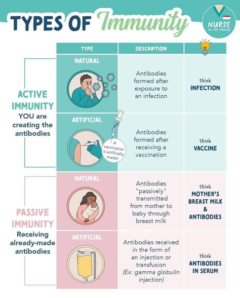 X Types Of Immunity, Immune System Nursing, Immunity Nursing, Nursing School Studying Cheat Sheets, Nursing School Essential, Nursing Study Guide, Emergency Nurse, Basic Anatomy And Physiology, Nurse Study Notes