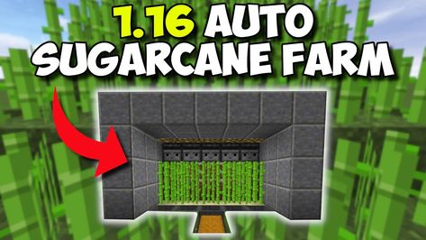 EASIEST Way To Get Sugarcane In Minecraft! - Fully Automatic Sugarcane Farm! Sugarcane Farm Minecraft, Sugarcane Farm, Youtube Setup, Make A Video, Red Stone, A Video, Minecraft, Gaming, Stone