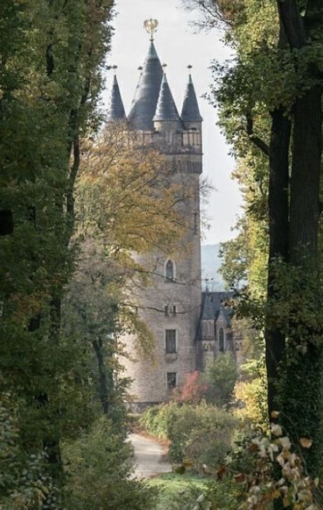 Medieval France Aesthetic, Germanic Aesthetic, Spring Kingdom, Pretty Castles, Aesthetic Cinderella, Cinderella Aesthetic, French Summer, Castle Aesthetic, French Castles