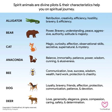 54 Spirit Animal List | Spirit Animal List and Their Meanings | TheMindFool Spirit Animal List, Spirit Animal Test, What's My Spirit Animal, Animal Totem Spirit Guides, Spirit Animal Quiz, Animal List, Small Wave Tattoo, Spirit Animal Meaning, Animal Meanings