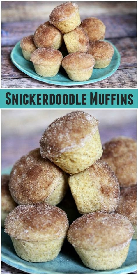 Snickerdoodle Mini Muffins, Snicker Doodle Muffins, Breakfast Recipes With Biscuits, Recipes With Biscuits, Snickerdoodle Muffins Recipe, Muffins From Scratch, Snickerdoodle Muffins, Snicker Doodle, Tastes Better From Scratch