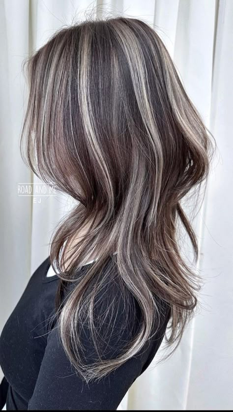 Ash Colored Highlights On Dark Hair, Ash Streaks On Brown Hair, Silver Ash Highlights On Dark Hair, Brown Hair And White Highlights, Layers Hair With Highlights, Brown Hair Mushroom Highlights, Silver On Brown Hair, Mushroom Blonde Highlights On Brown Hair, Ash Tone Highlights For Dark Hair