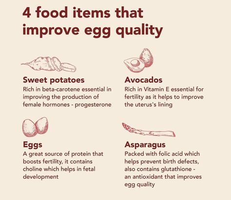 Foods To Improve Egg Quality, How To Improve Egg Quality Fertility, Improve Egg Quality Fertility, Improve Egg Quality, Pregnancy After 40, How To Increase Fertility, Increase Fertility, Egg Quality, Cycle Syncing