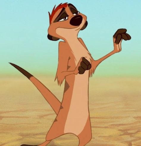 Pixar Icons, Entp Characters, Male Disney Characters, Old Disney Characters, Lion King Timon, King Pic, Lion King 1, Heat Exhaustion, Lion King Pictures