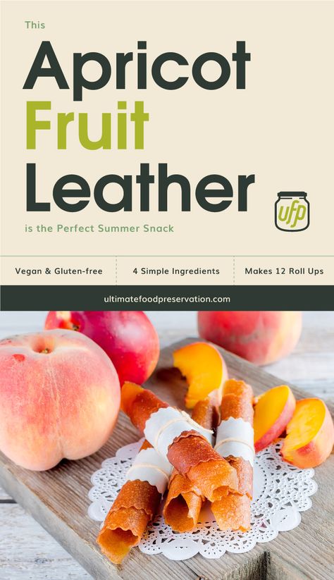 Apricot Fruit Leather Recipe, Meal Plan Snacks, Snacks For Traveling, Dehydrated Banana Chips, Summer Snack Recipes, Fruit Wraps, Junk Food Cravings, Fruit Leather Recipe, Homemade Beef Jerky