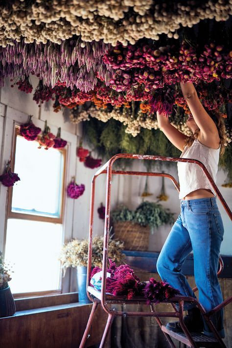 Full Belly Farm Is a Stunning Flower-Filled Paradise Dried Flower Farm, Dried Flowers Ceiling, Dried Flower Ceiling, Farm Store Ideas, Flower Drying Rack, Apothecary Bar, Floral Shops, Boulder Garden, Flower Drying