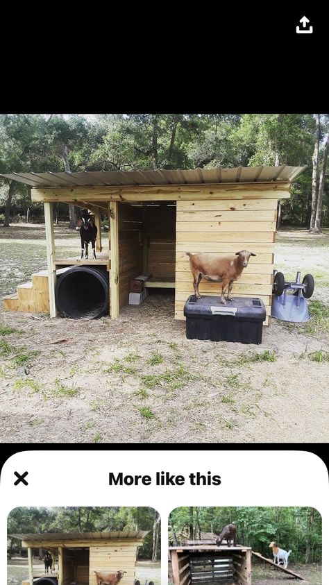 Goat Corral, Pallet Goat House, Goat House With Pallets, Pallet Stalls For Goats, Goats Playground, Goat House Made Out Of Pallets, Diy Goat Shelter Pallets, Chicken Pets, Diy Pallet Shelter For Goats