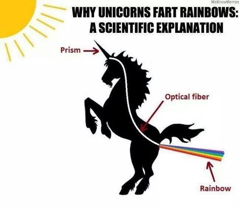 Why unicorns fart rainbows. The scientific explanation - Imgur Unicorn Farts, Unicorn Stuff, Real Unicorn, Science Jokes, Science Humor, A Unicorn, Rainbow Unicorn, Ha Ha, Funny Things