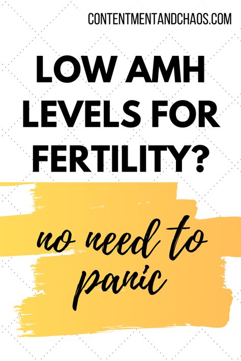 Increasing Amh Levels, Low Amh Levels Fertility, Increase Amh Levels, Trying To Conceive Tips, Hcg Levels, Fertility Nutrition, How To Conceive, Ivf Pregnancy, Womb Healing