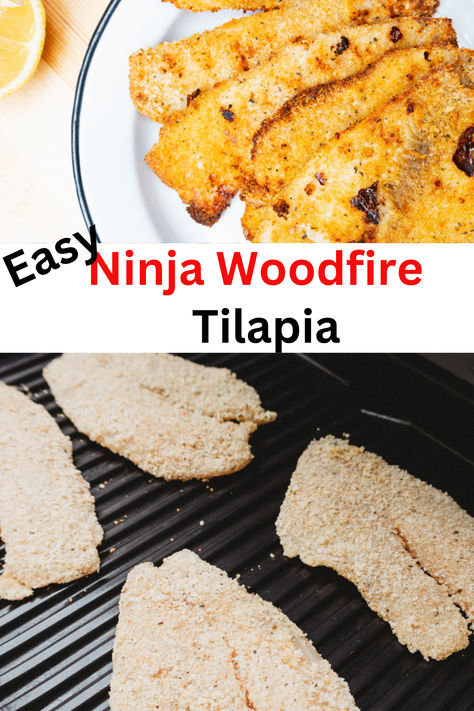 Ninja Woodfire grill  Tilapia tips and tricks designed to elevate your outdoor smoking game to the next level. From perfect sears to tantalizing flavors, become a woodfire grill pro now! #GrillingTips #WoodfireMastery, Smoker Cooking, Smoker Grill Recipes, Wood Fire Grill Recipes, Smoked Barbecue Recipes Ninja Woodfire Grill Recipes Chicken, Ninja Smoker Recipes, Ninja Woodfire Grill Recipes, Grilled Tilapia Recipes, Ways To Cook Tilapia, Wood Fire Grill Recipes, Wood Fire Grill, Ninja Woodfire Grill, Healthy Bbq Recipes