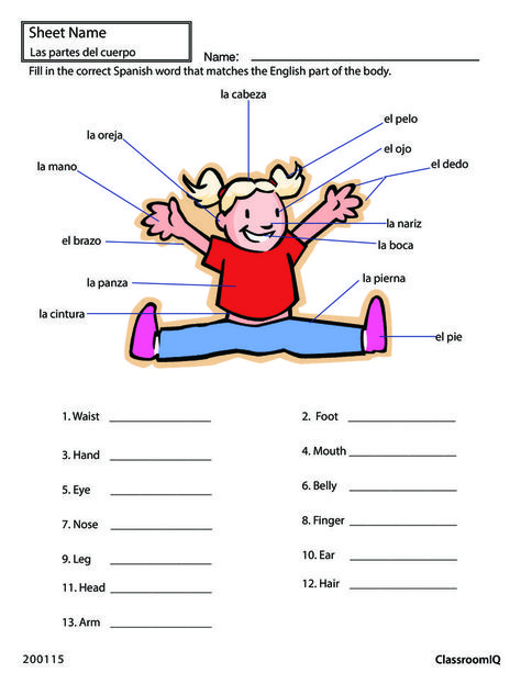 Body parts in Spanish #spanishworksheets #classroomiq #newteachers ... Beginner Spanish Worksheets, Body Parts Worksheet, Body Parts In Spanish, Spanish Homework, Spanish Learning Activities, Homework Worksheets, Learning Spanish For Kids, Spanish Lessons For Kids, Spanish Worksheets