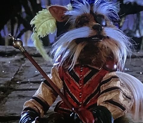 Sir Didymus - The Labyrinth Sir Didymus, Labyrinth Sir Didymus, The Labyrinth Sir Didymus, The Labyrinth, Labrynth Movie Characters, Labyrinth 1986 Aesthetic, Labyrinth Costume, Home Screen Pictures, Labyrinth Ball