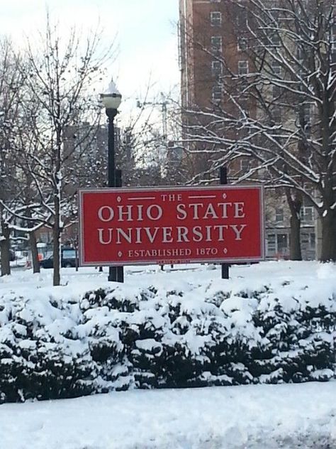 Ohio State University Campus, Ohio State College, College Memories, Ohio Stadium, Ohio Buckeyes, Osu Football, College Vision Board, University Dorms, Buckeye Nation