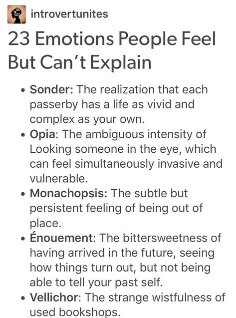 Oddly Specific, Writing Characters, The More You Know, Thought Provoking, Trending Memes, The Magic, Funny Jokes, Texts, Word Search Puzzle