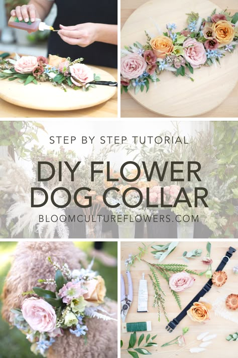 DIY: Floral Dog Collar — Bloom Culture Flowers Flower Dog Wedding Collar, Diy Dog Flower Collar Weddings, Diy Flower Collar For Dog, Wedding Dog Leash Diy, Flower Collar For Dog Wedding, Diy Dog Wedding Collar, Dog As Ring Bearer Ideas, Diy Flower Dog Collar, Dog Flowers Wedding