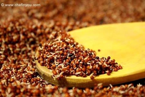 How to Make Ragi Flour at home Ragi Recipes, Ragi Flour, Finger Millet, Millet Flour, Sprout Recipes, Vegan Living, Breakfast Menu, Flour Recipes, Millet