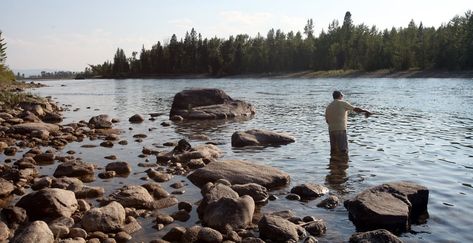 Fishing Montana, Montana Fishing, Kokanee Salmon, Montana Lakes, Channel Catfish, Cutthroat Trout, Fall Fishing, Flathead Lake, Sure Thing