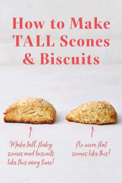 Struggling with flat scones or biscuits? Here’s everything you need to know about how to bake TALL scones and biscuits that rise higher with those ultra flaky layers. #scones #biscuits #bakingtips #bakingscience Scones With Shortening, Handle The Heat Scones, Bakery Style Scones, Sweet Scones, Ultimate Cookie Recipe, Mini Scones, Baking Scones, How To Make Scones, Scone Mix