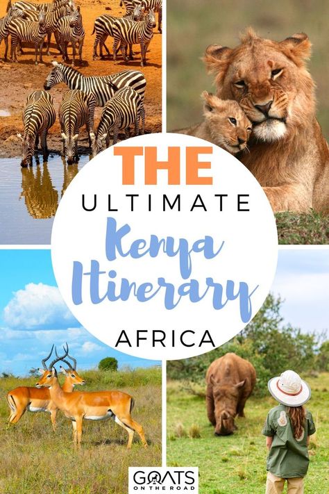 The Ultimate Kenya Itinerary, Africa Kenya Travel Itinerary, Kenya Itinerary, Kenya Holiday, Travel Tanzania, Kenya Trip, Kenya Wildlife, African Adventure, Africa Itinerary, The Big Five