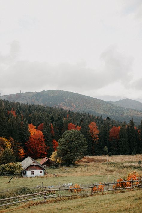 Ukraine Aesthetic Wallpaper, Autumn Nature Wallpaper, Ukraine Landscape, Ukraine Wallpaper, Carpathian Mountains Ukraine, Ukraine Culture, Ukraine Aesthetic, Autumn Mountains, Mountain Aesthetic