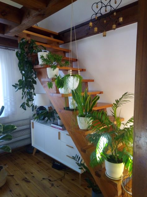 Plants On Stairs Indoors, Staircase Shelves, Plant Stand Decor, Tattoo Plant, Beautiful Landscaping, Interior Staircase, Plants Home, Plant Tattoo, Stair Decor