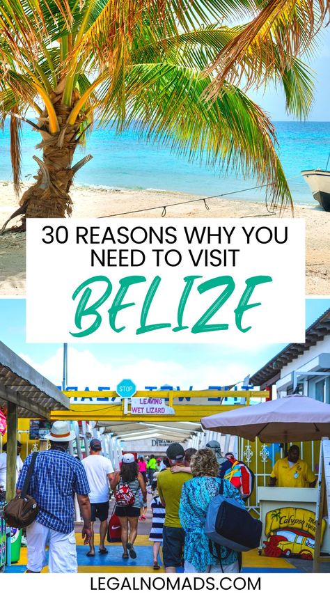 30 Reasons Why You Need to Visit Belize Great Blue Hole Belize, Blue Hole Belize, Things To Do In Belize, Belize Honeymoon, Belize Travel Guide, Travel Belize, Belize Vacation, Great Blue Hole, Ambergris Caye Belize