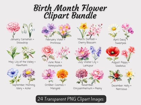 This Clip Art & Image Files item by NoahZDesigns has 50 favorites from Etsy shoppers. Ships from United States. Listed on May 1, 2024 August Flowers, Bouquet Clipart, Birth Flower Tattoos, Flowers Clipart, Birth Month Flower, Month Flowers, Birth Month Flowers, Decor Birthday, Flower Clipart