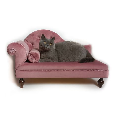 Homemade Cat Beds, Velvet Dog Bed, Small Dog Bed, Cat Sofa, Animal Chair, Sofa Vintage, Cat Couch, Dog Accesories, Dog Couch